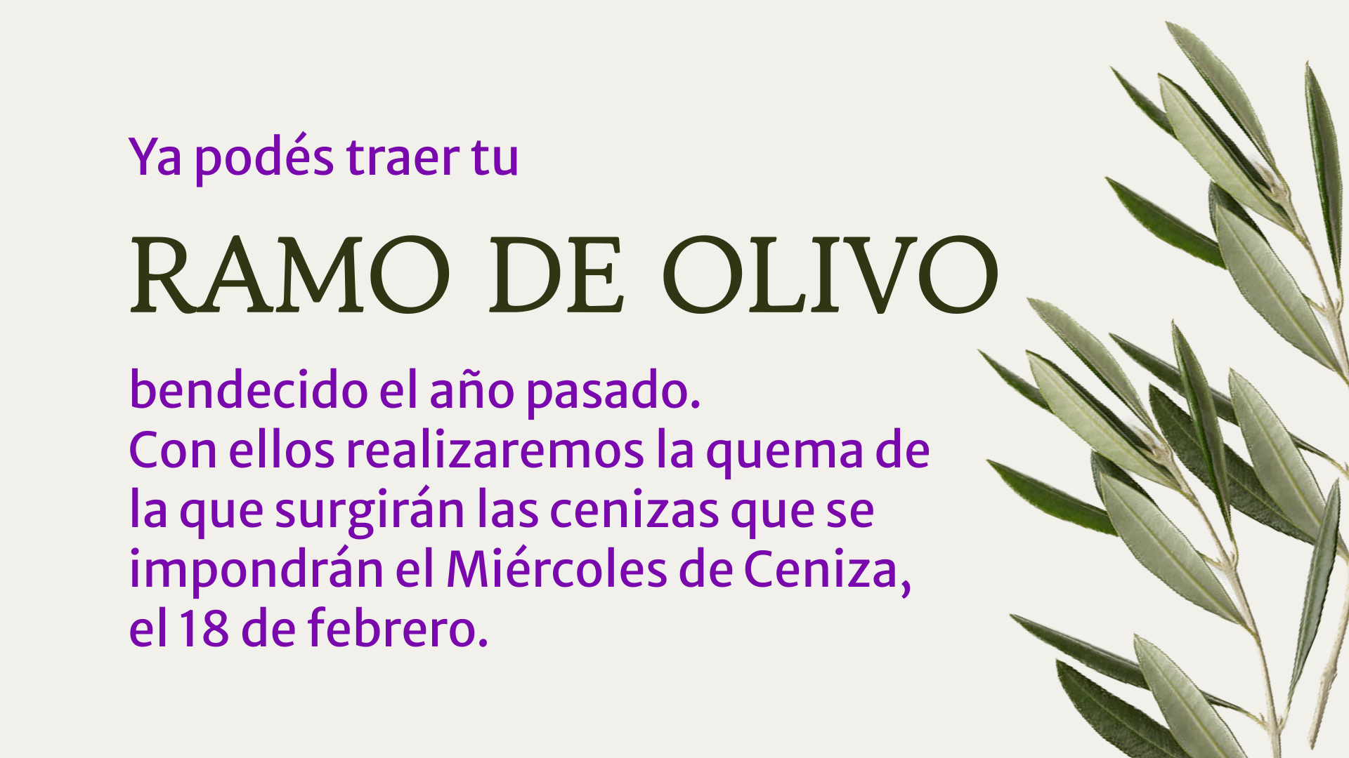 ramos de olivo